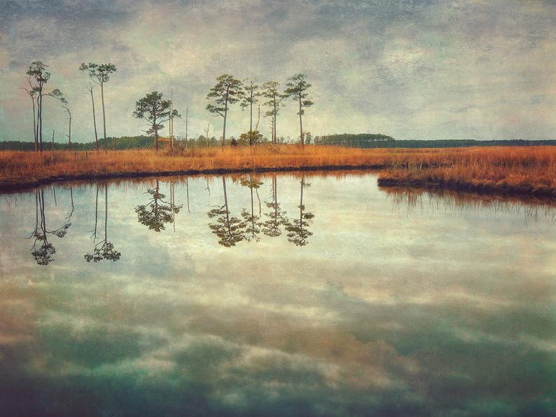 Gallery 333 Meet the Artist: Emily Carter Mitchell