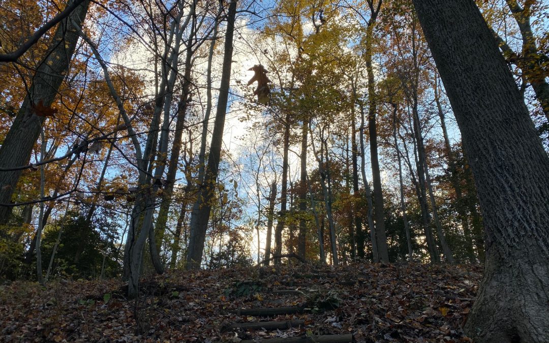 Celebrating in the Stillness