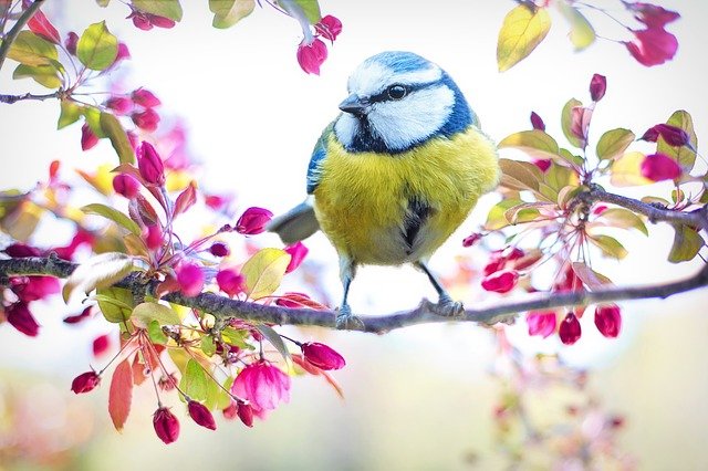 Happy Spring!