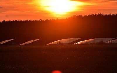 FIGHT CLIMATE CHANGE – SAVE MONEY!