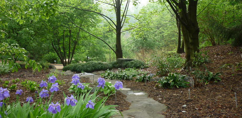 Arboretum Program