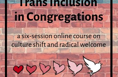 Trans Inclusion in Congregations Course Starts Thu. July 14