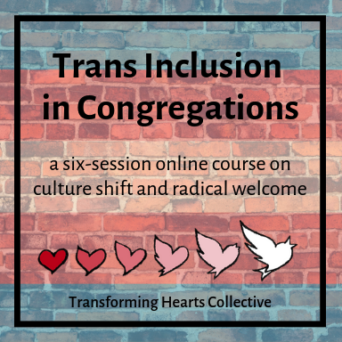 Trans Inclusion in Congregations Course Starts Thu. July 14